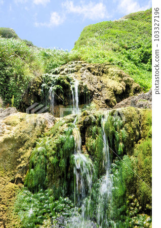 Giza Banta 103327196