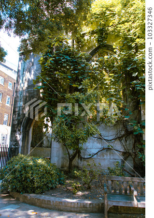 church with green trees church with green trees 103327346