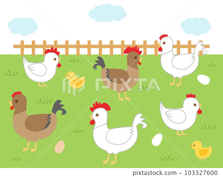 An illustration of a grazing chicken 103327600