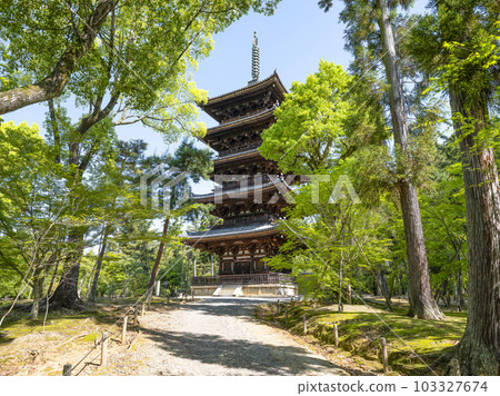 Sohonzan Ninna-ji Temple five-storied pagoda 103327674