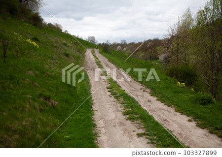 Country road. Eastern europe. 103327899