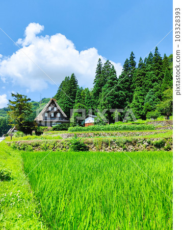 Gokayama / Ainokura Gassho-zukuri Village (Summer) Gokayama / Ainokura Gassho-zukuri Village (Summer) 103328393
