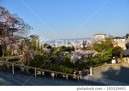 Kyoto, Japan Townscape around Kiyomizu-dera Temple in spring Symbolic Kyoto Tower and beautiful cherry blossoms and fresh greenery Morning scene 103329481