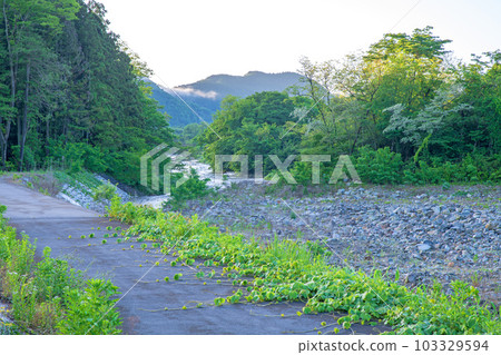 Oashi River, view from near Ashinosato Park, fresh green scenery, Kanuma City 103329594