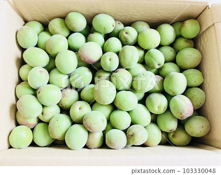 紙箱中的青梅 103330048