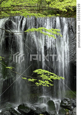 Sobasawa Fudo Falls Sobasawa Fudo Falls 103330199