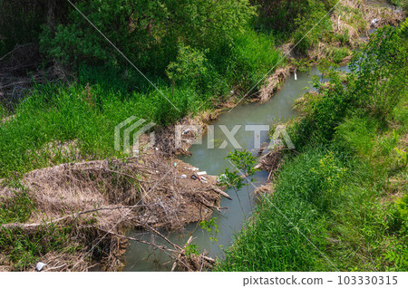 A thicket in the river where garbage flows 103330315