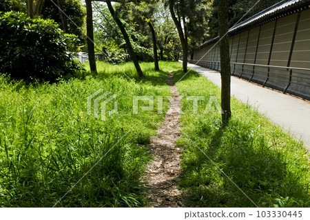 Forest path Forest path 103330445