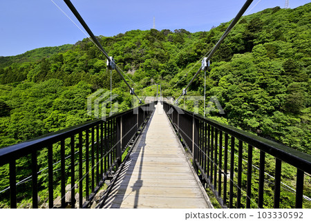 Kinu Kureiwa Large Suspension Bridge Kinu Kureiwa Large Suspension Bridge 103330592