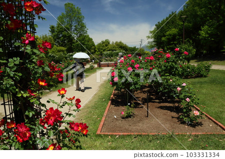 玉村北公園 玉村北公園 103331334