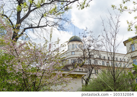 [Poland] Traditional buildings seen through flowers and plants in spring park in Krakow Old Town 103332084