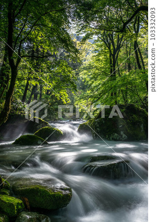 Mountain stream in early summer 103332093