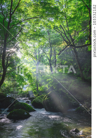 Stream and light beam Stream and light beam 103332182