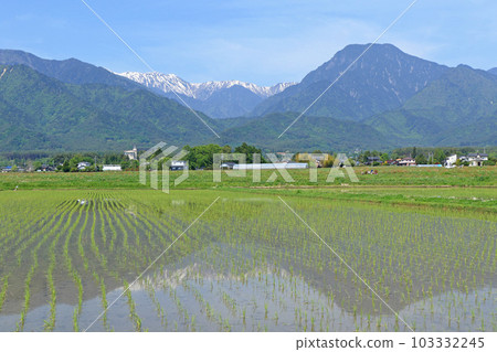 五月在安曇野鄉村和北阿爾卑斯山 103332245