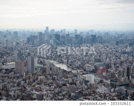 從東京晴空塔俯瞰東京 103332611