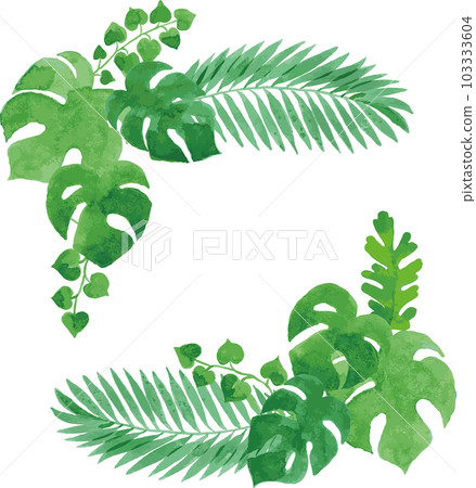 Transparent watercolor illustration of tropical plant leaves Transparent watercolor illustration of tropical plant leaves 103333604