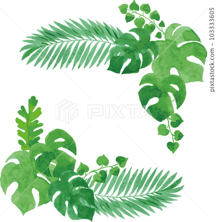 Transparent watercolor illustration of tropical plant leaves 103333605
