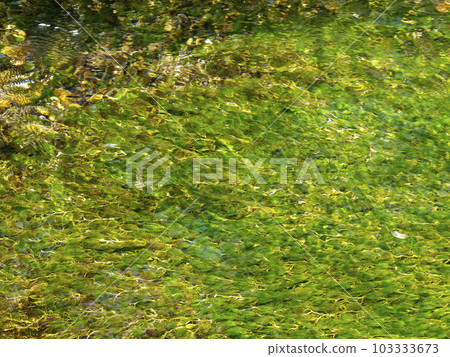 Samegaijuku Jizo River and Meikamo scenery 103333673