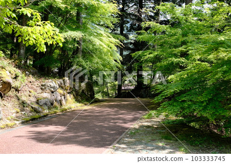 新綠寂地峽自然步道的風景 103333745