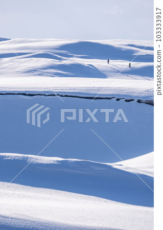 雪上有腳印的風景 鳥取沙丘 103333917