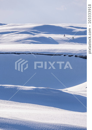 雪上有腳印的風景 鳥取沙丘 103333918