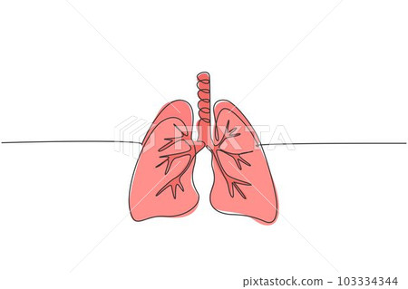 One continuous line drawing of anatomical human lungs organ. Dynamic medical internal anatomy concept. Single line draw graphic design vector illustration One continuous line drawing of anatomical human lungs organ. Dynamic medical internal anatomy concept. Single line draw graphic design vector illustration 103334344