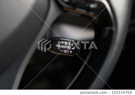 汽車定速巡航(定速、車距控制裝置)開關 汽車定速巡航(定速、車距控制裝置)開關 103334709