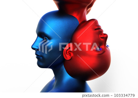3d render. Merger of a male blue head and a red female head on a white background.  103334779