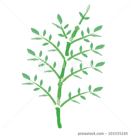 watercolor bamboo 103335285