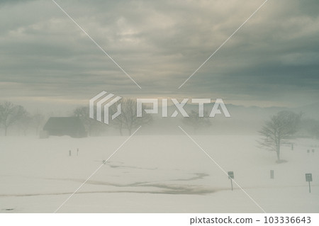 雪國美妙的早晨 103336643