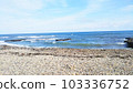 Pacific Ocean 103336752