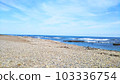 Pacific Ocean 103336754