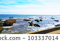 Oarai Isosaki Shrine torii and the Pacific Ocean 103337014