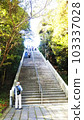 Oarai Precious Shrine 103337028