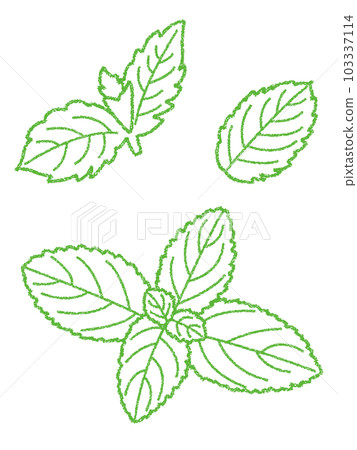 蠟筆材料薄荷線描插圖 103337114