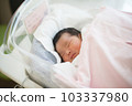 Newborn newborn 103337980