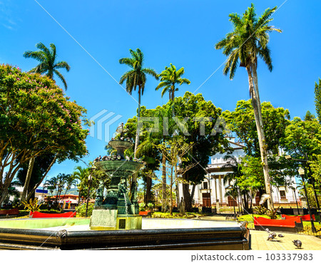 Tropical scenery at General Tomas Guardia Park in Alajuela, Costa Rica 103337983