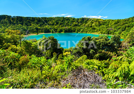 Lake Botos, an inactive crater within Poas Volcano National Park in Costa Rica 103337984