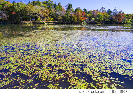 Ch'useiyama Plateau in Autumn 103338071