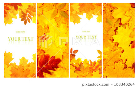 Set of vertical nature banners with autumn scenes. Collection of fall backdrops with yellow and red autumn leaves Set of vertical nature banners with autumn scenes. Collection of fall backdrops with yellow and red autumn leaves 103340264