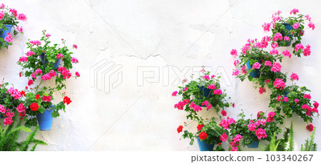 Horizontal banner with flowerpots with blossom geranium on stucco wall. Pot of pink and red geranium in blossom on white concrete wall. Traditional mediterranean wall decoration of a village house 103340267