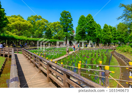 東京都足立區將軍沼公園 東京都足立區將軍沼公園 103340673
