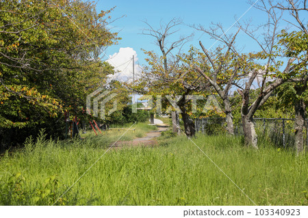 山口縣宇部市真道川沿岸散步道 103340923