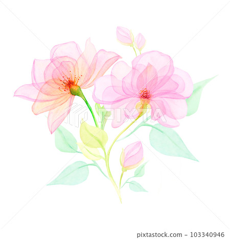 Watercolor drawing of half-transparent clear pink and purple flowers and blossoms with stems and leaves on white background. Nice hand drawn for wrapping, sticker, scrapbooking, textile print, fabric Watercolor drawing of half-transparent clear pink and purple flowers and blossoms with stems and leaves on white background. Nice hand drawn for wrapping, sticker, scrapbooking, textile print, fabric 103340946