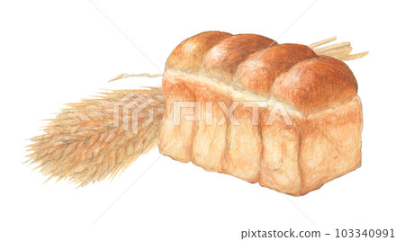 山形麵包和一束小麥水彩鉛筆插圖 山形麵包和一束小麥水彩鉛筆插圖 103340991