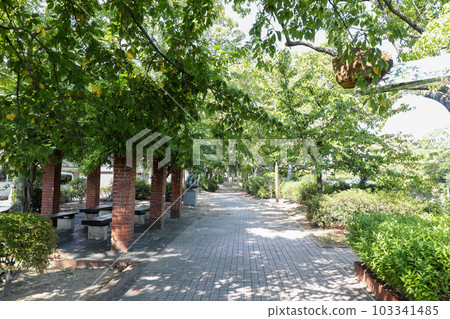 山口縣宇部市萬吉川公園長廊 103341485