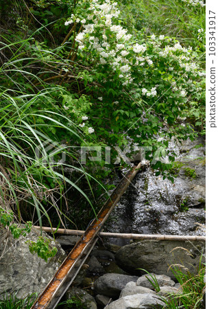 引水到梯田的渠道 引水到梯田的渠道 103341917