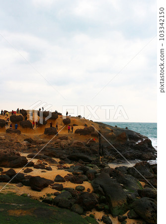 Xinbei City Town Willi Geological Park, Taiwan 103342150