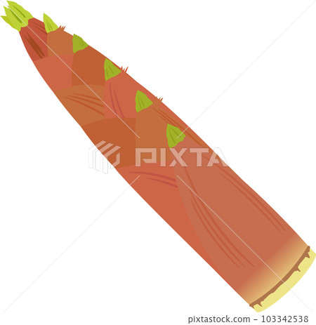 帶皮輕竹 103342538