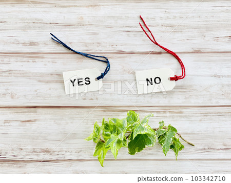 YES and NO letters and ivy on two types of white tags_white board background YES and NO letters and ivy on two types of white tags_white board background 103342710